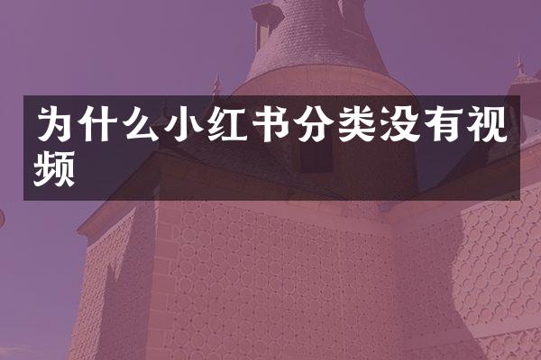 为什么小红书分类没有视频