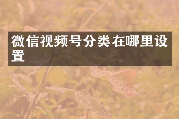 微信视频号分类在哪里设置