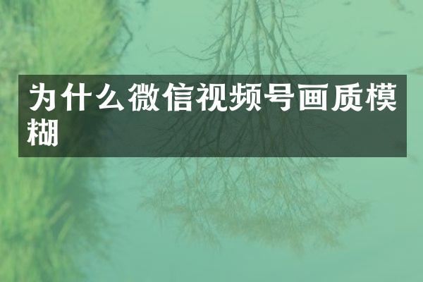 为什么微信视频号画质模糊