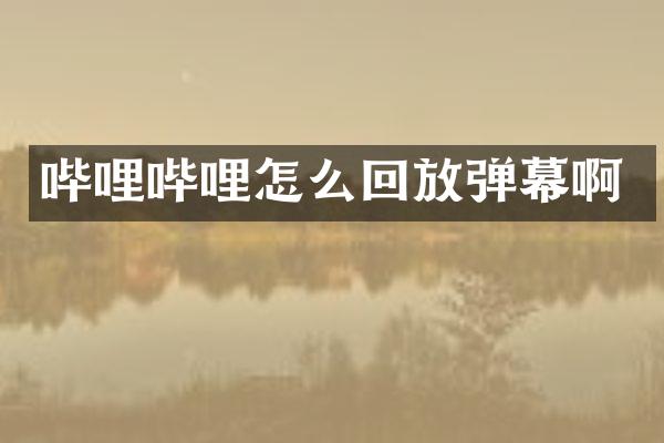 哔哩哔哩怎么回放弹幕啊