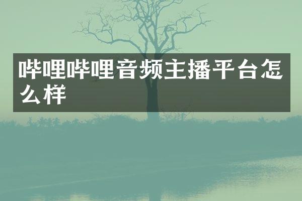 哔哩哔哩音频主播平台怎么样