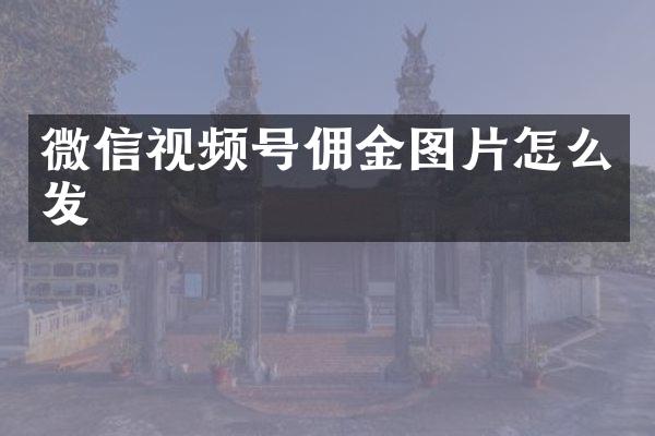 微信视频号佣金图片怎么发