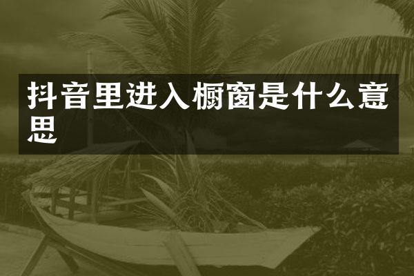 抖音里进入橱窗是什么意思
