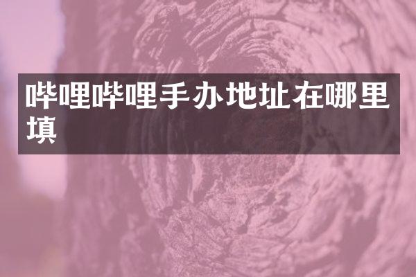 哔哩哔哩手办地址在哪里填