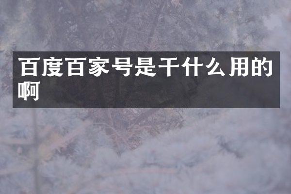 百度百家号是干什么用的啊