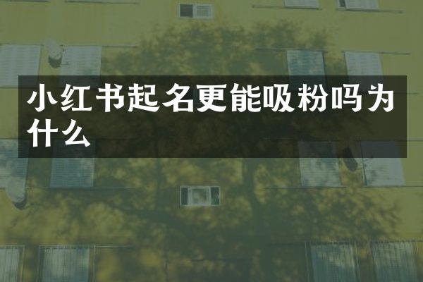 小红书起名更能吸粉吗为什么