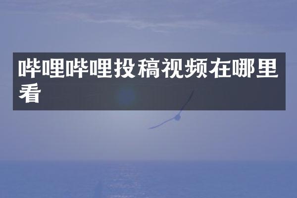 哔哩哔哩投稿视频在哪里看