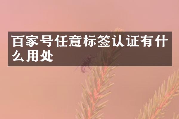 百家号任意标签认证有什么用处