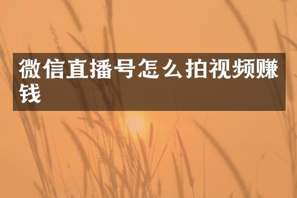 微信直播号怎么拍视频赚钱