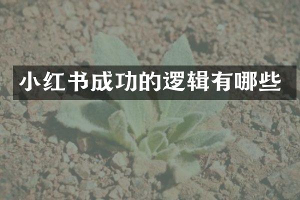 小红书成功的逻辑有哪些