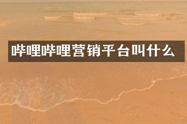 哔哩哔哩营销平台叫什么
