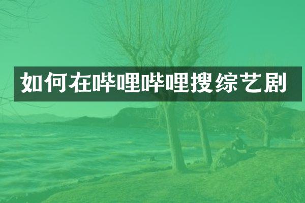 如何在哔哩哔哩搜综艺剧