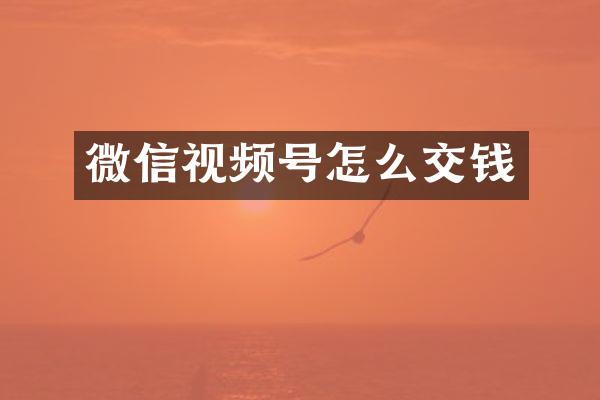 微信视频号怎么交钱