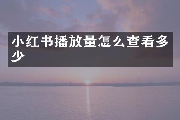 小红书播放量怎么查看多少