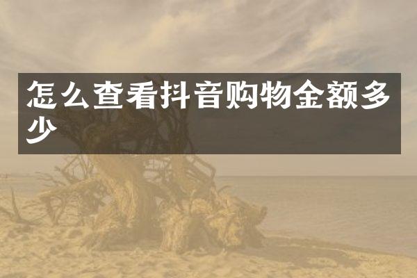 怎么查看抖音购物金额多少