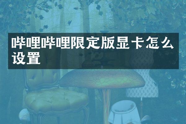 哔哩哔哩限定版显卡怎么设置