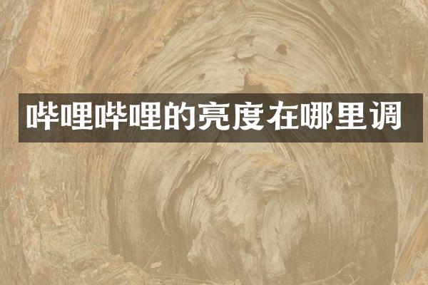 哔哩哔哩的亮度在哪里调