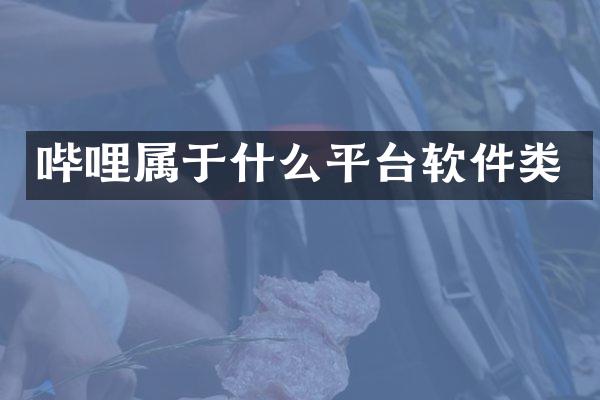 哔哩属于什么平台软件类