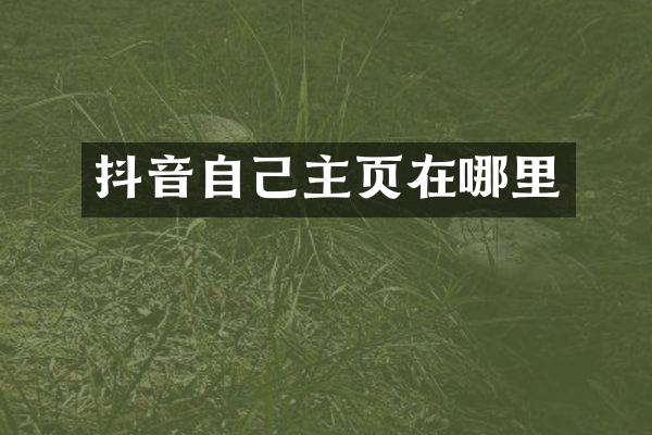 抖音自己主页在哪里