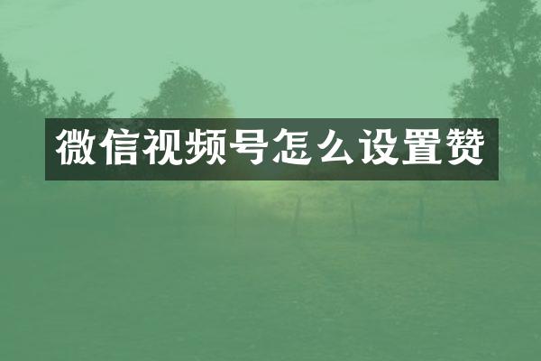 微信视频号怎么设置赞