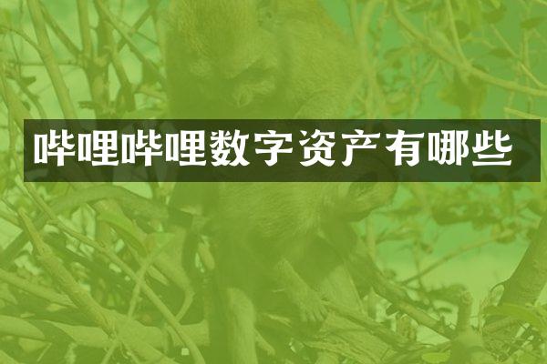 哔哩哔哩数字资产有哪些