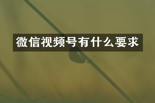 微信视频号有什么要求