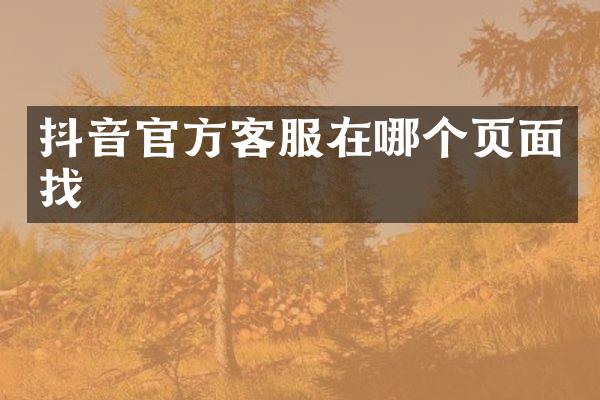 抖音官方客服在哪个页面找