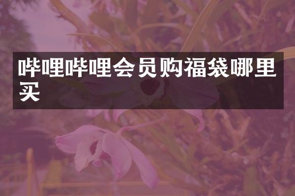 哔哩哔哩会员购福袋哪里买