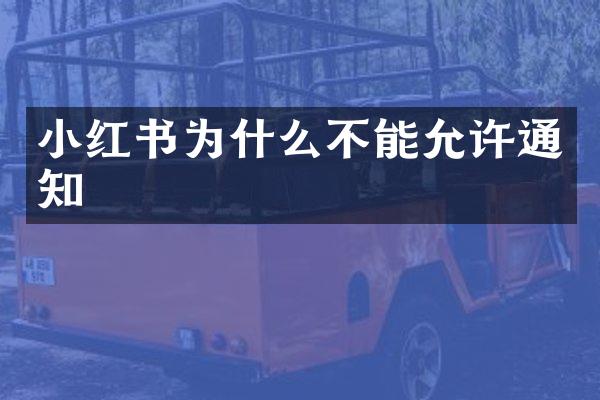 小红书为什么不能允许通知