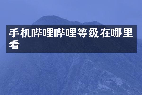 手机哔哩哔哩等级在哪里看