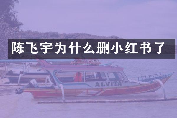 陈飞宇为什么删小红书了