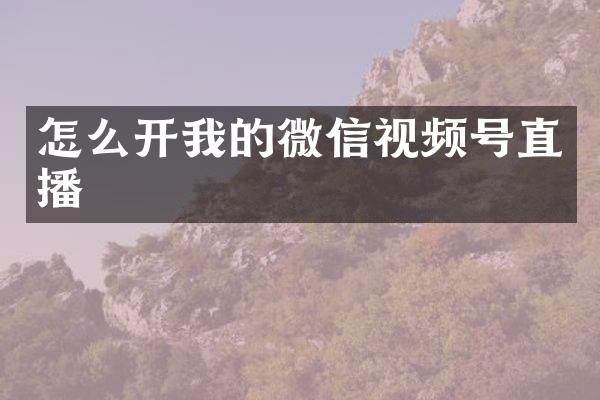 怎么开我的微信视频号直播