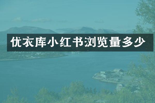 优衣库小红书浏览量多少