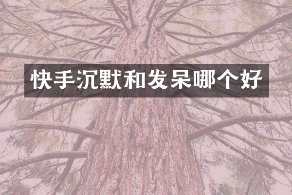 快手沉默和发呆哪个好