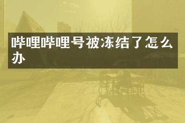 哔哩哔哩号被冻结了怎么办