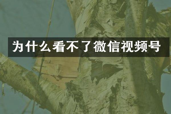 为什么看不了微信视频号