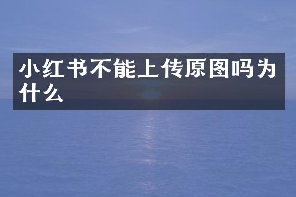 小红书不能上传原图吗为什么