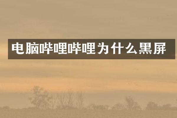 电脑哔哩哔哩为什么黑屏