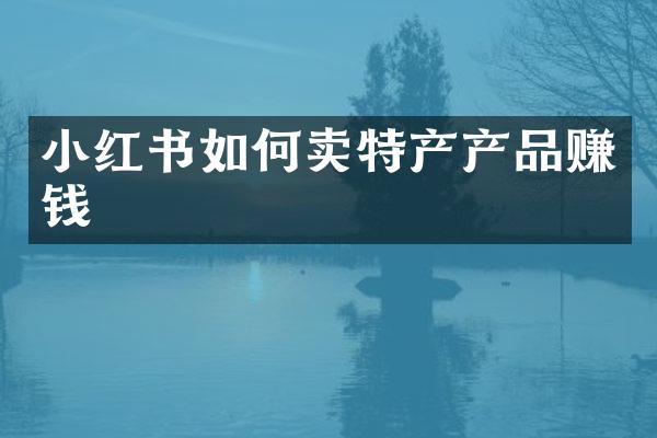 小红书如何卖特产产品赚钱