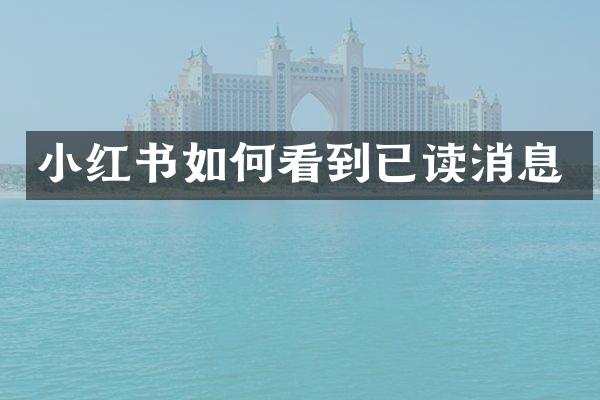 小红书如何看到已读消息