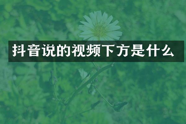 抖音说的视频下方是什么