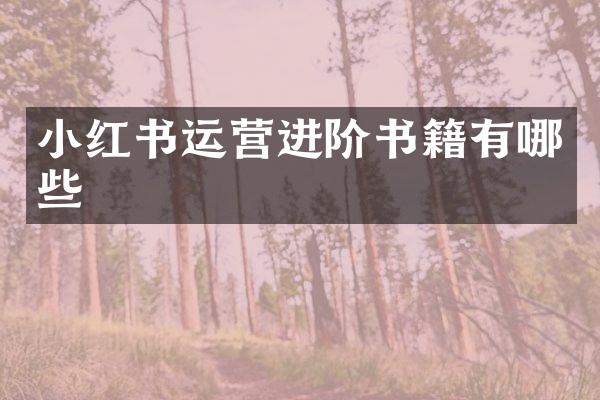 小红书运营进阶书籍有哪些