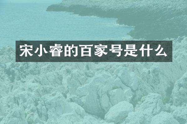 宋小睿的百家号是什么
