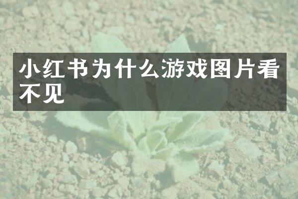 小红书为什么游戏图片看不见