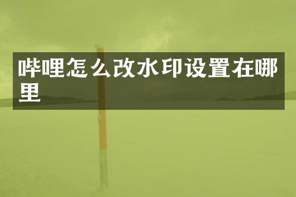 哔哩怎么改水印设置在哪里