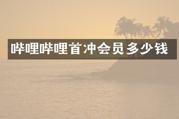 哔哩哔哩首冲会员多少钱