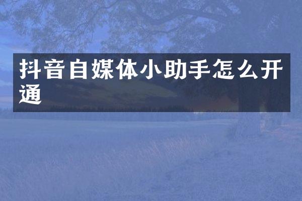 抖音自媒体小助手怎么开通
