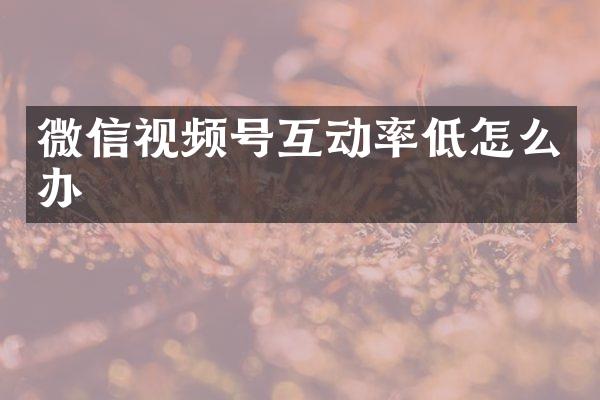 微信视频号互动率低怎么办