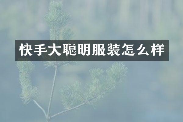 快手大聪明服装怎么样