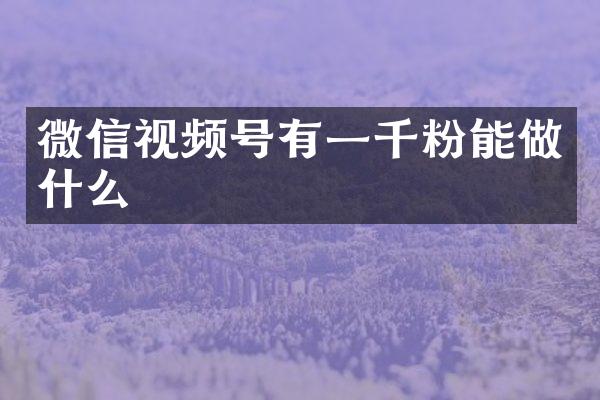 微信视频号有一千粉能做什么
